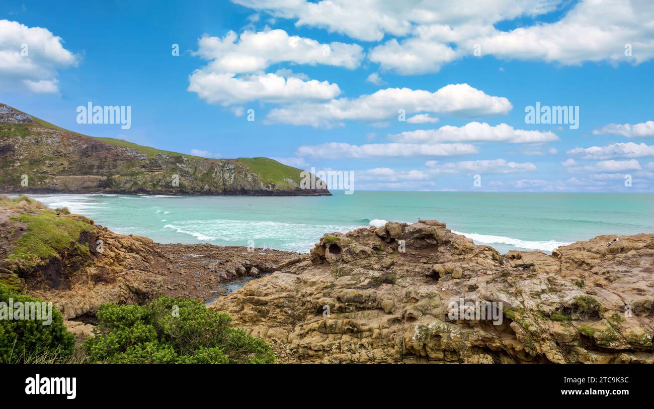 Scenic scenery of Port Chalmers, Dunedin New Zealand, a wildlife tour