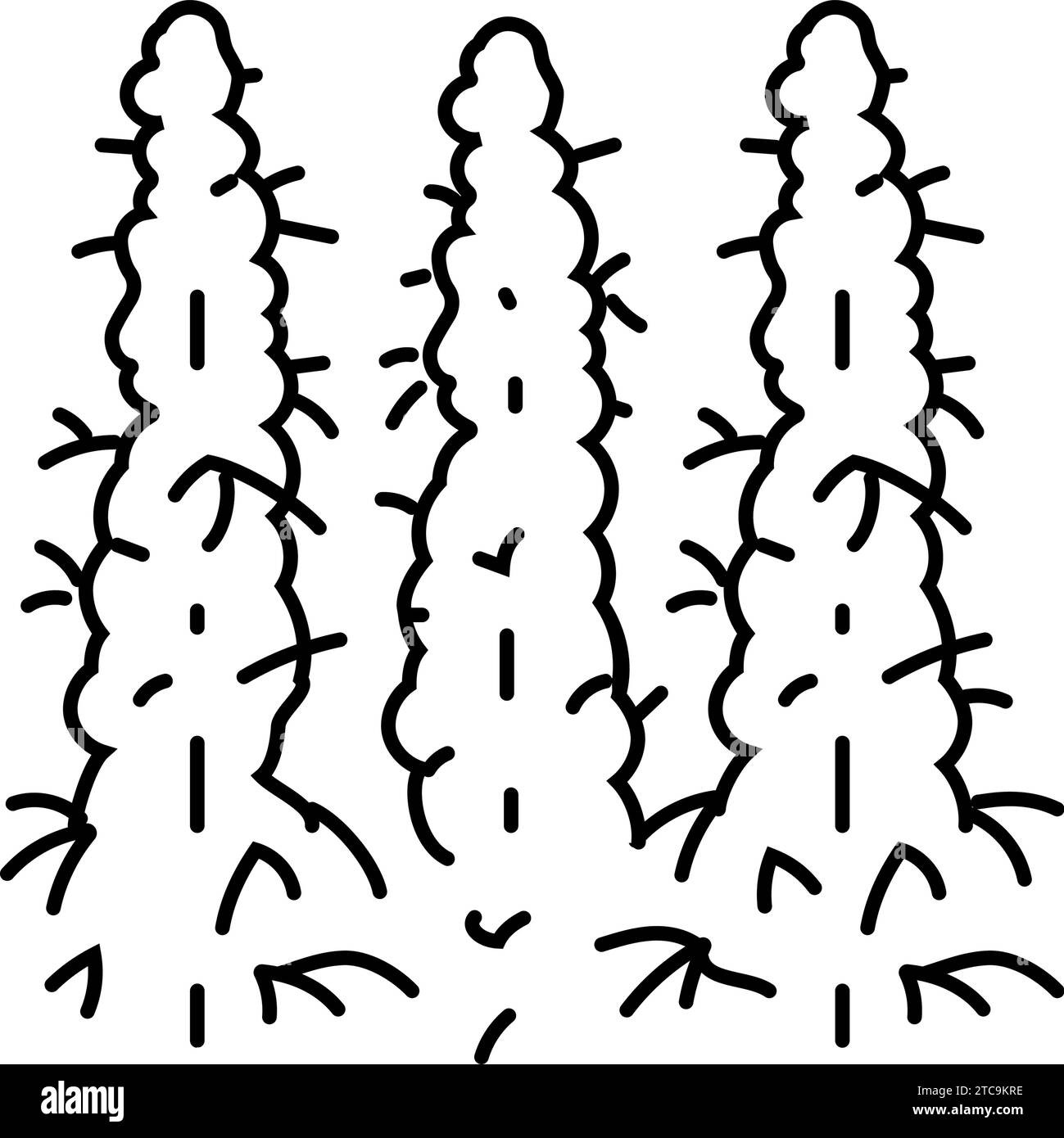 Cannabis indica field Black and White Stock Photos & Images - Alamy