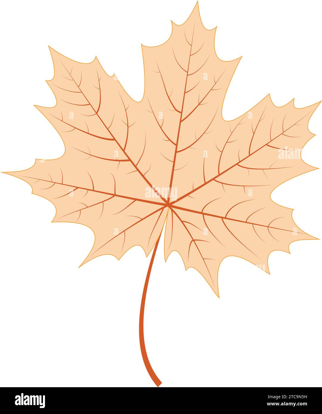 Isolated colored autumn seasonal leaf icon Vector Stock Vector Image ...