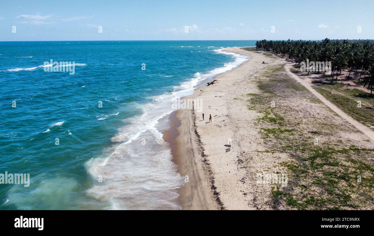 The incredible Praia do Gunga, Brazil. The coastline full of palm trees, beaches and crystal clear water Stock Photo