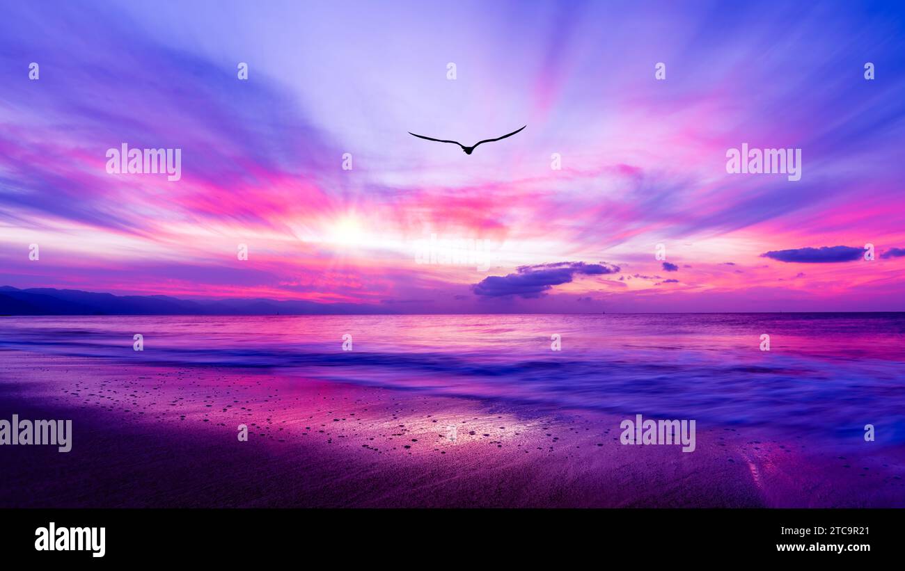A Bird Silhouette Is Soaring Above The Colorful Clouds At Sunset Stock ...