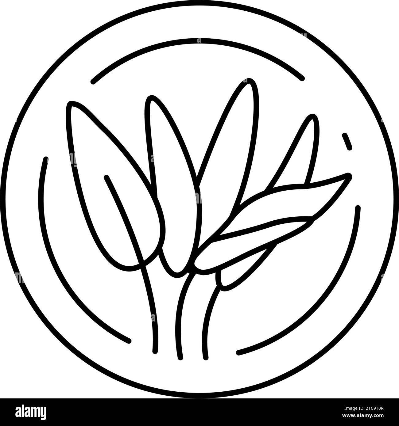 Sage green wall Black and White Stock Photos & Images - Alamy