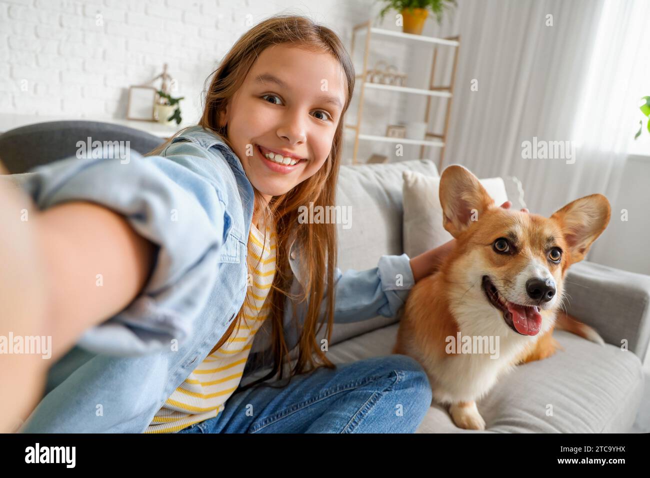 Little girl with cute Corgi dog taking selfie at home, closeup Stock ...