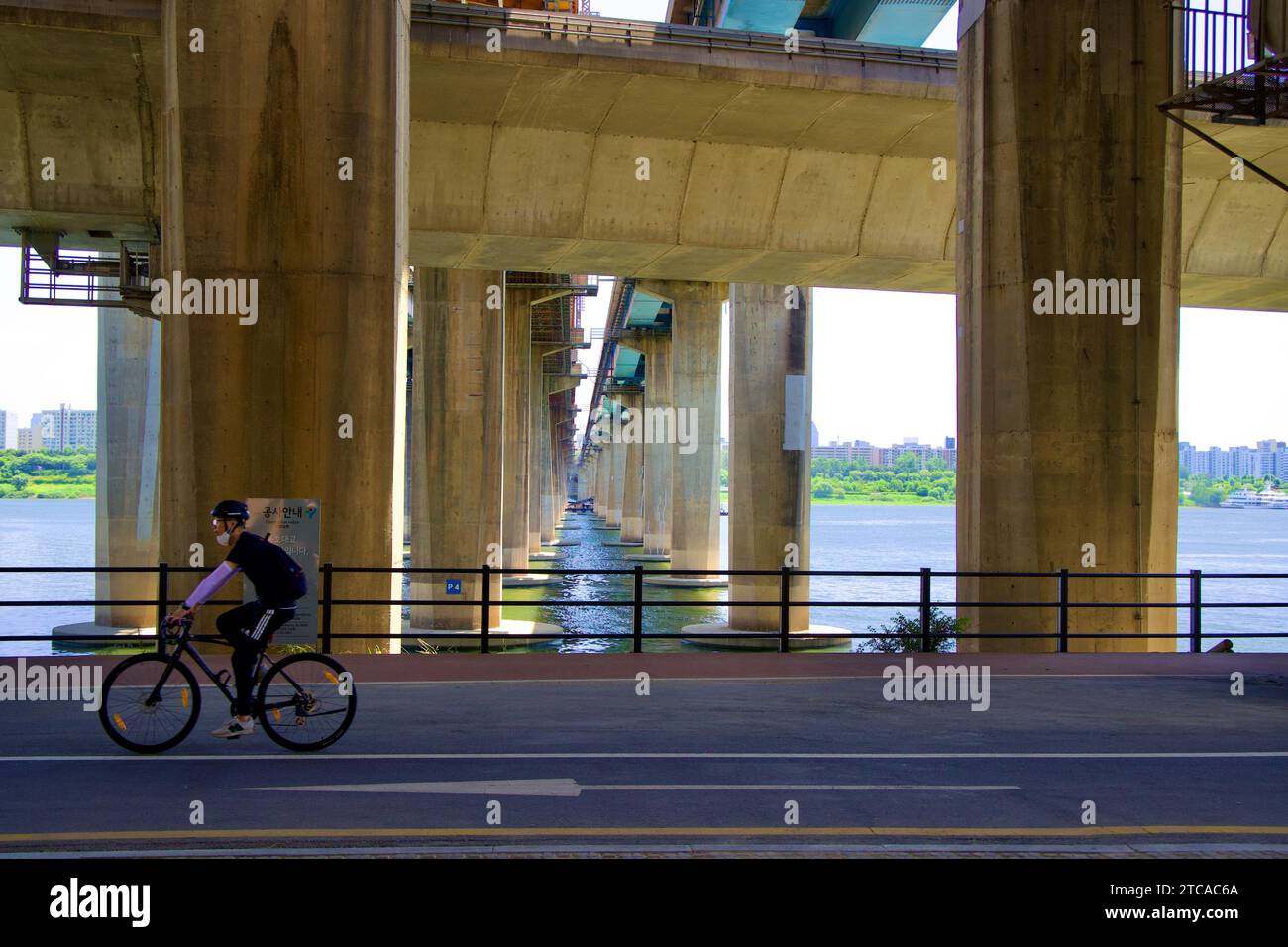 A cyclist enjoys a leisurely ride on the bike path under Gangbyeon