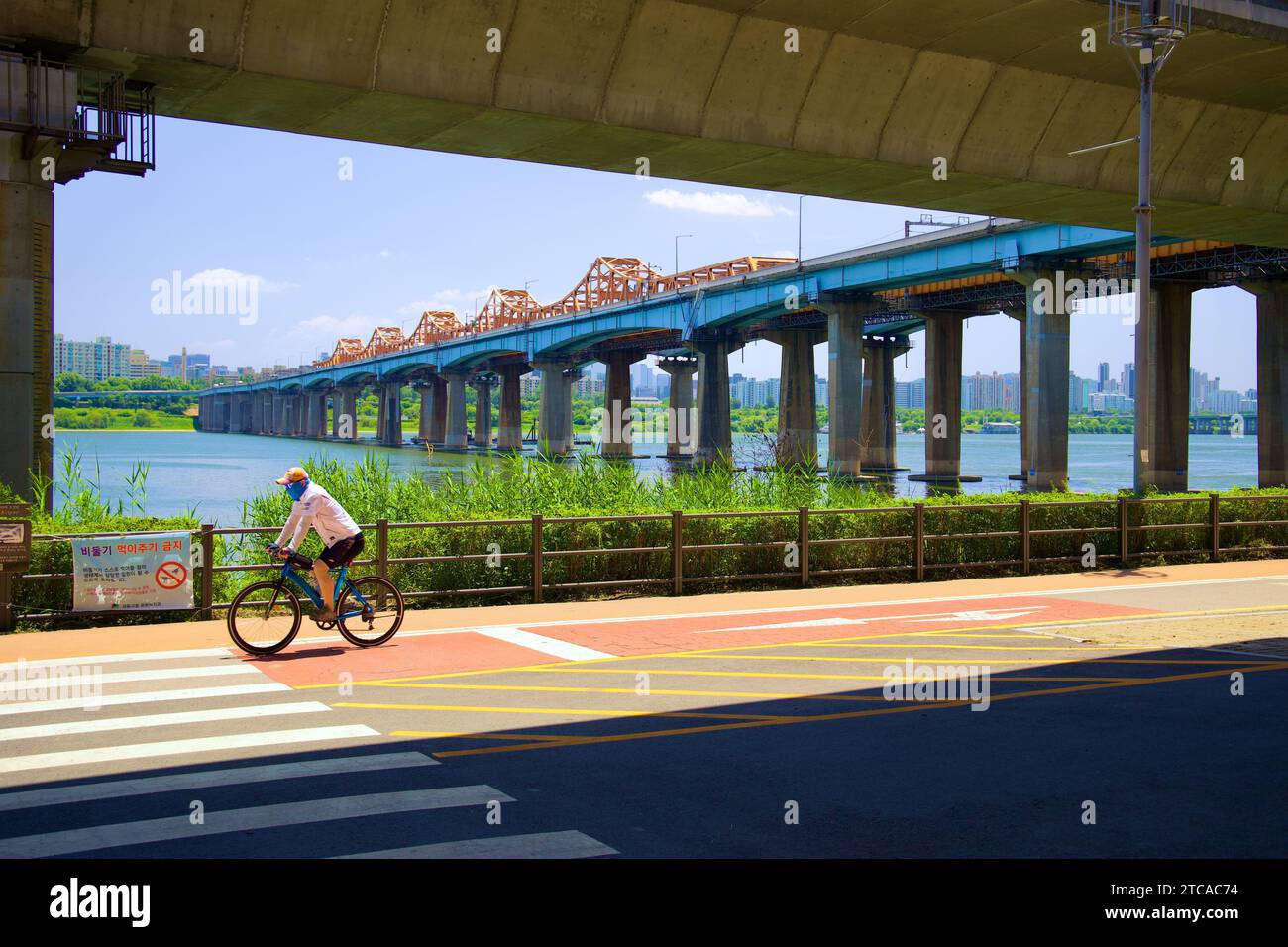 A cyclist foregrounds the scene on a bike path under Gangbyeon