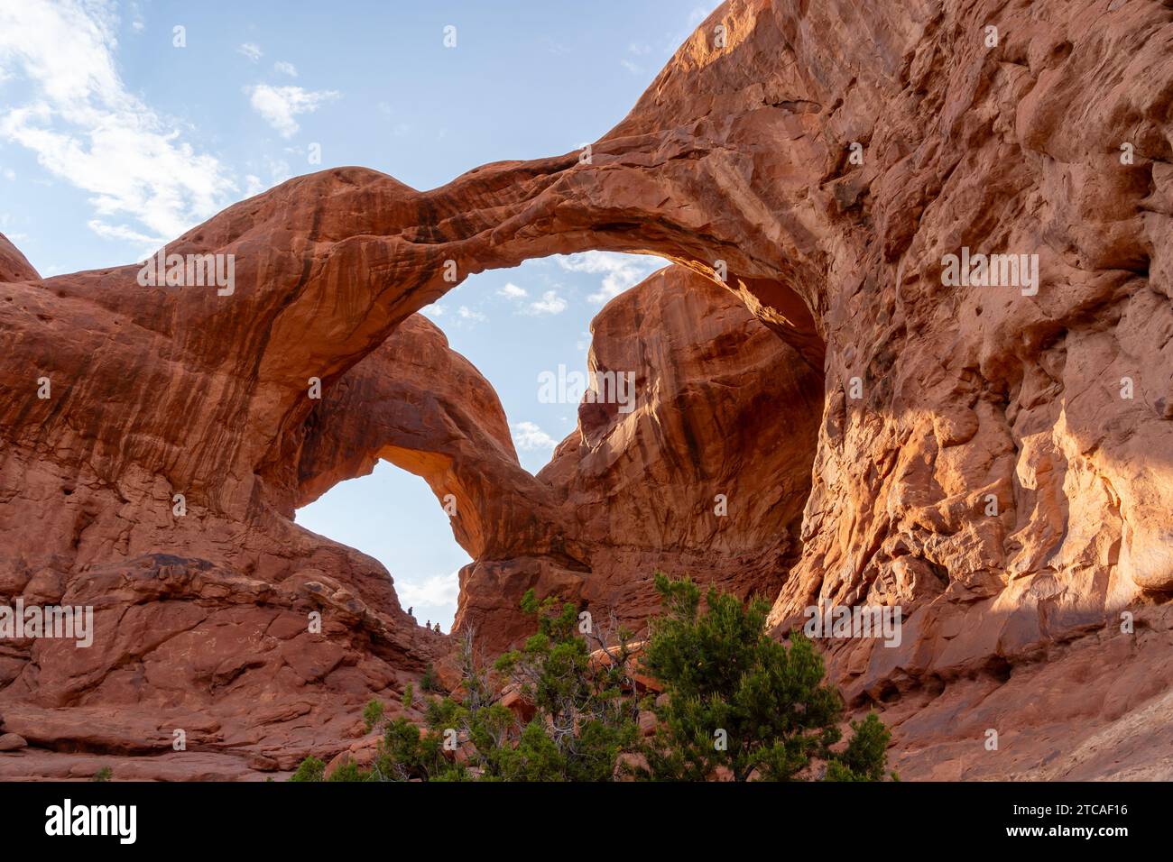 Double Arch in Arches National Park, Utah, USA Stock Photo