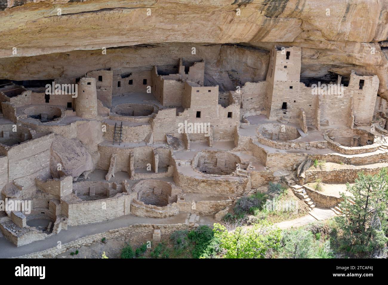 Cliff Palace at Mesa Verde National Park in Colorado, USA Stock Photo