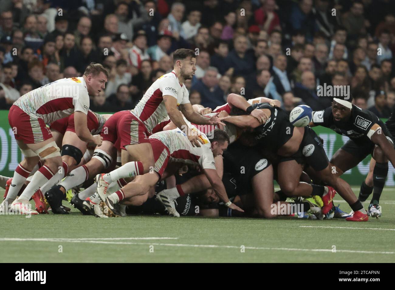 Danny Care of Harlequins during the EPCR Champions Cup, Pool 2 rugby