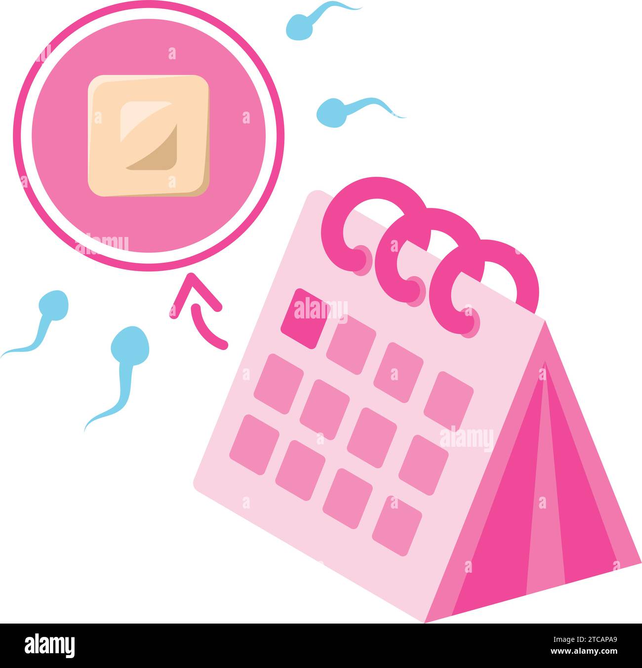 birth contraception calendar Stock Vector Image & Art - Alamy