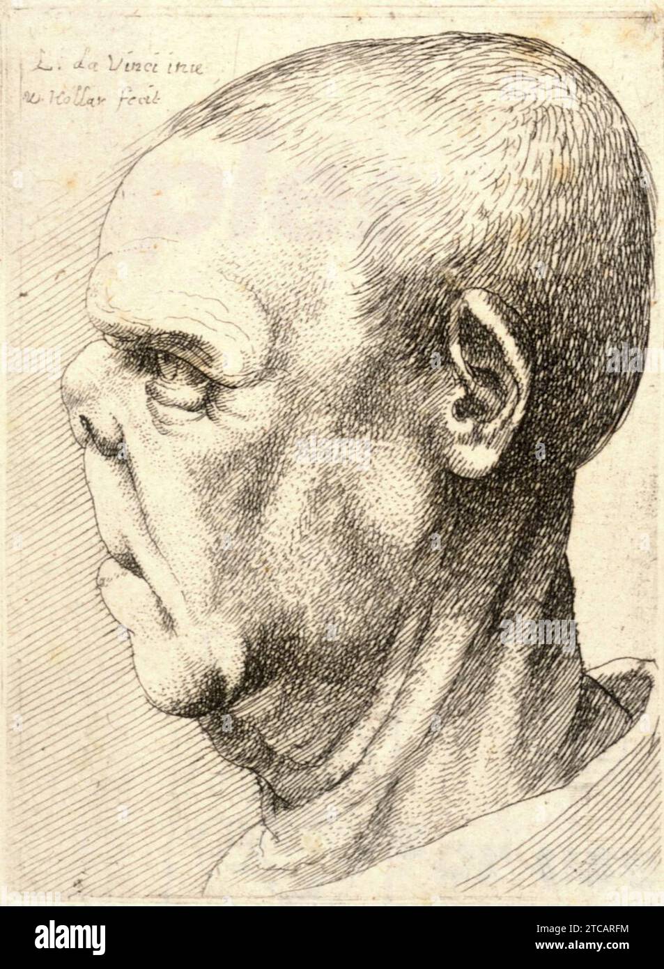 Wenceslas Hollar - Man with flattened nose and elongated upper lip. Stock Photo