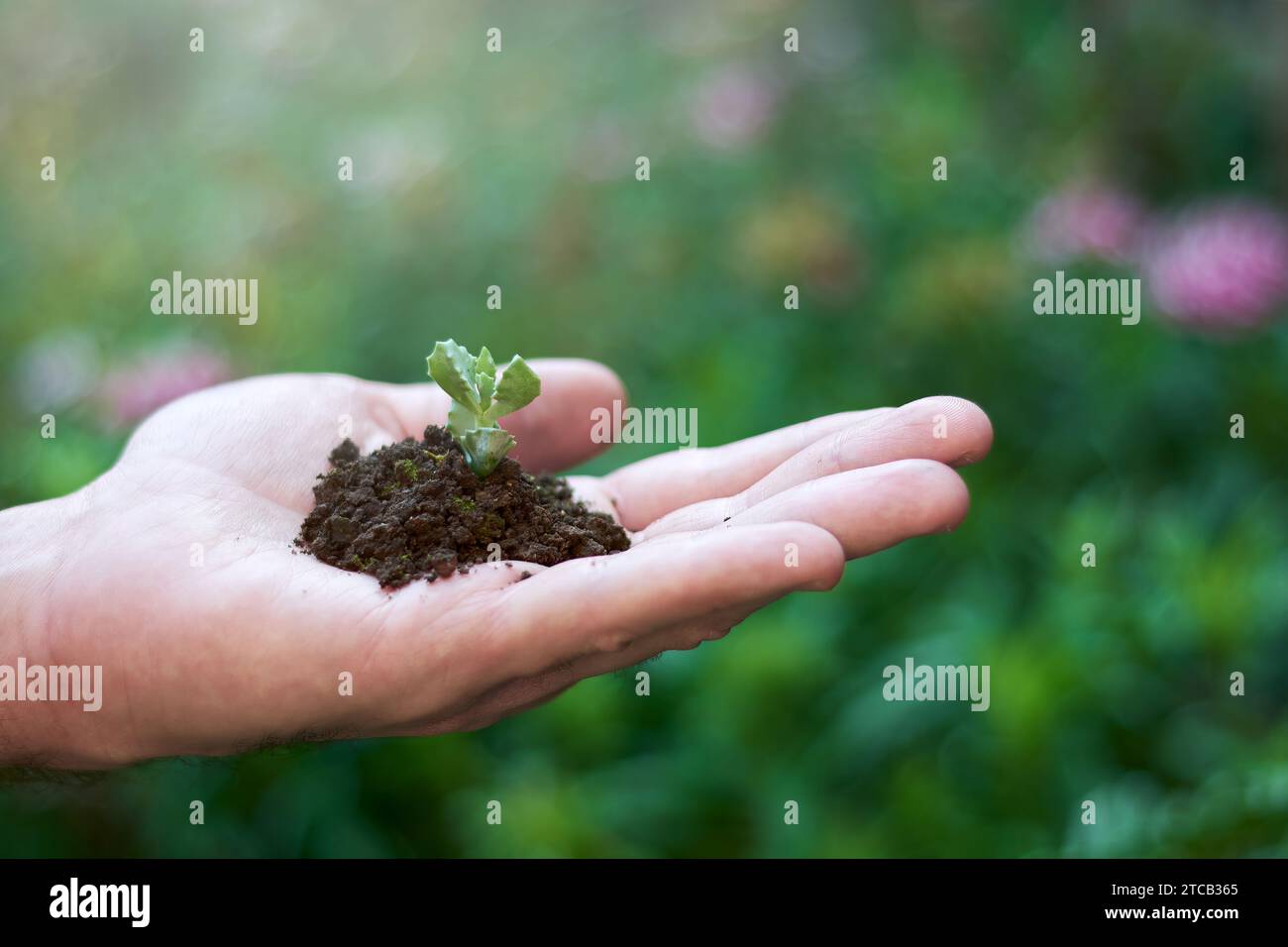 Environmental sustainability hand hi-res stock photography and images ...