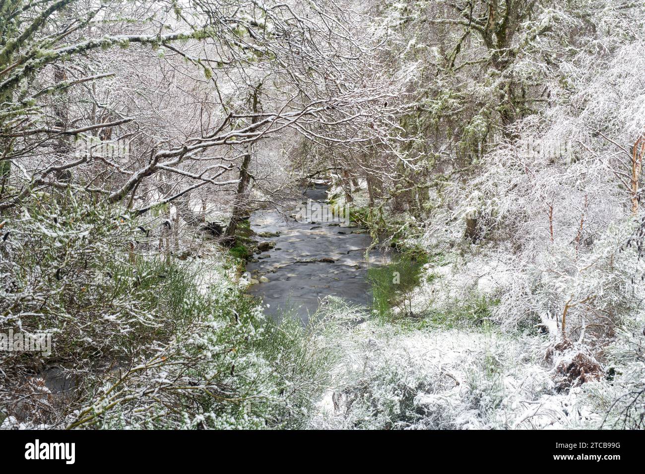 The tributary river Allt a Gheallaidh in the snow. Speyside, Morayshire, Scotland Stock Photo