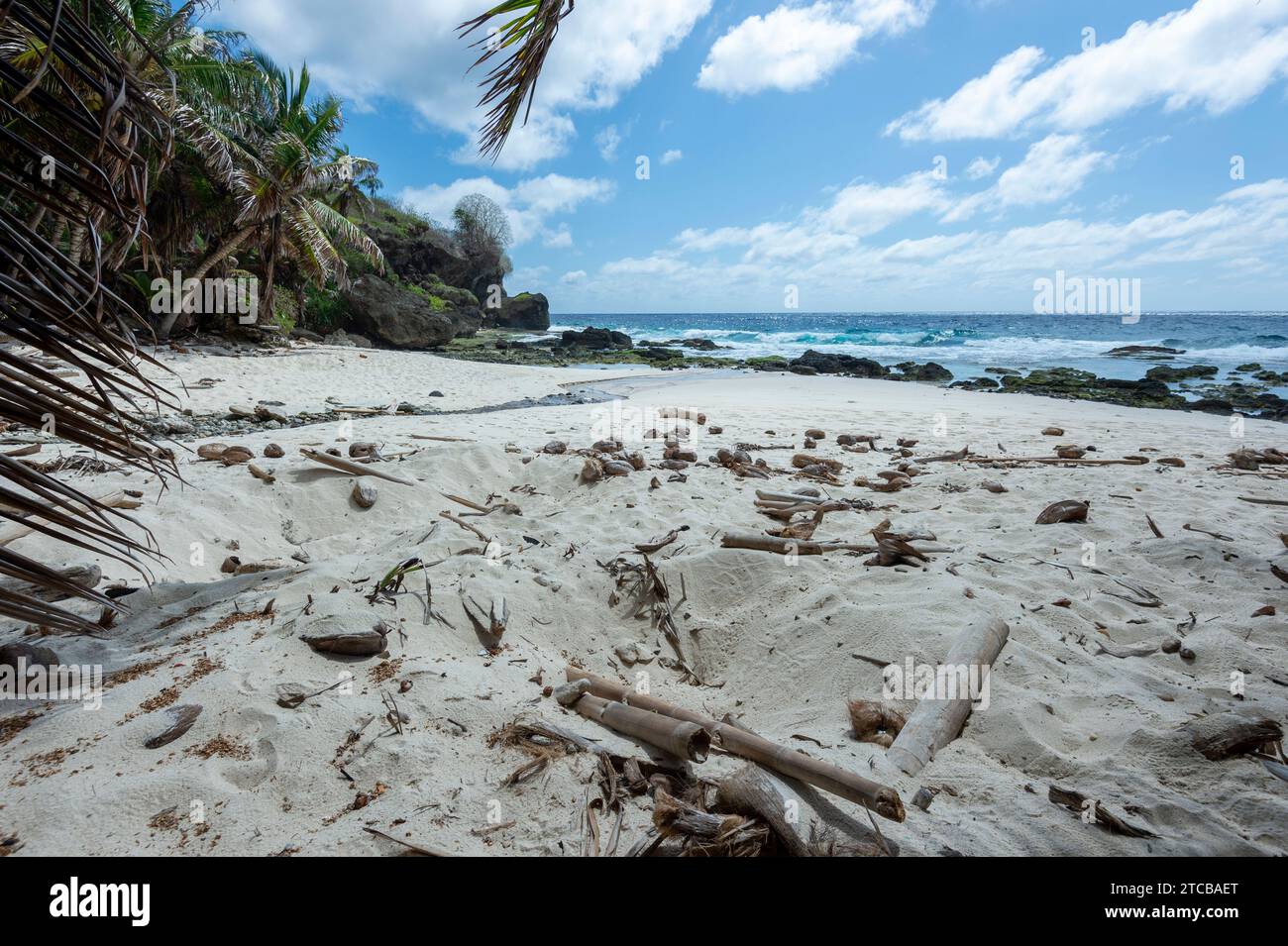 Turtle nest on Dolly Beach, a popular sandy deserted beach on Christmas Island, Australia Stock Photo