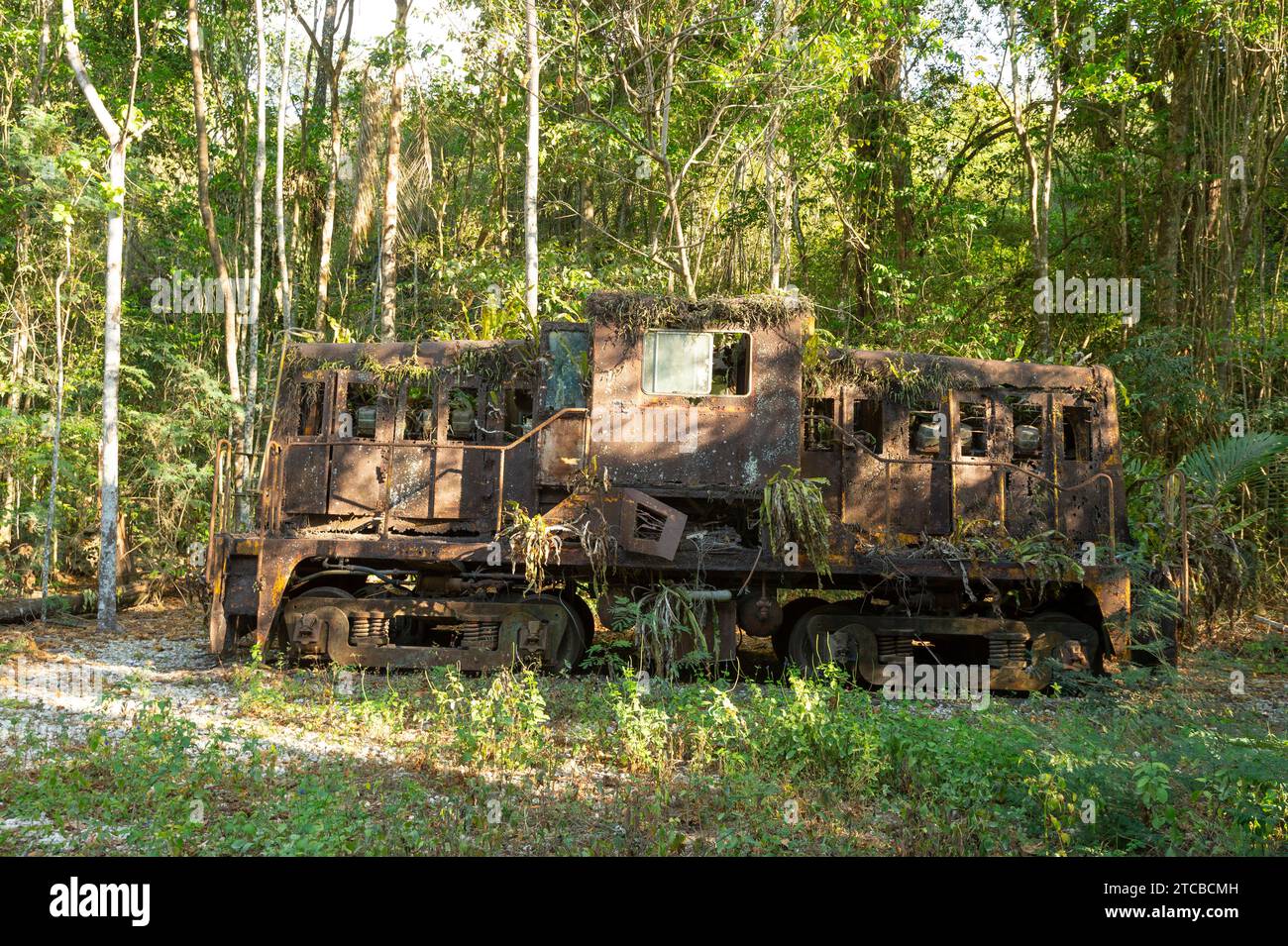 Former NSWGR 79 class locomotive abandoned in the forest on Christmas Island, Australia Stock Photo