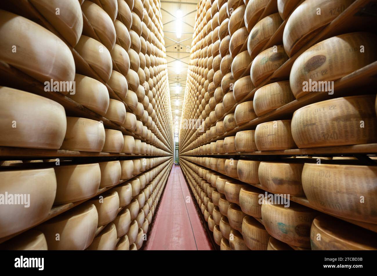 Modena, Italy. 13th Oct, 2023. Parmesan cheese wheels lie side by side