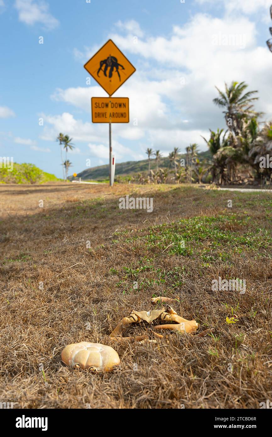 Dead crab in front of a Slow Down road sign warning to drive around robber crabs, Christmas Island, Australia Stock Photo