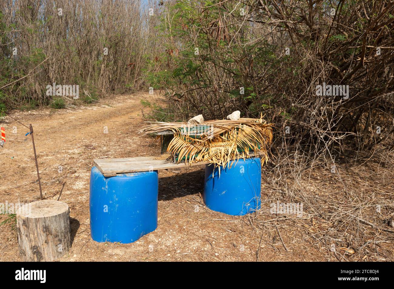 Concealed trap to catch feral cats on Christmas Island, Australia Stock Photo