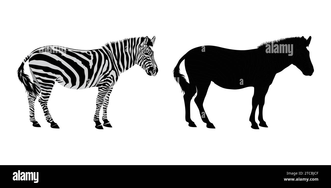 Hand drawn zebra silhouette design Stock Vector