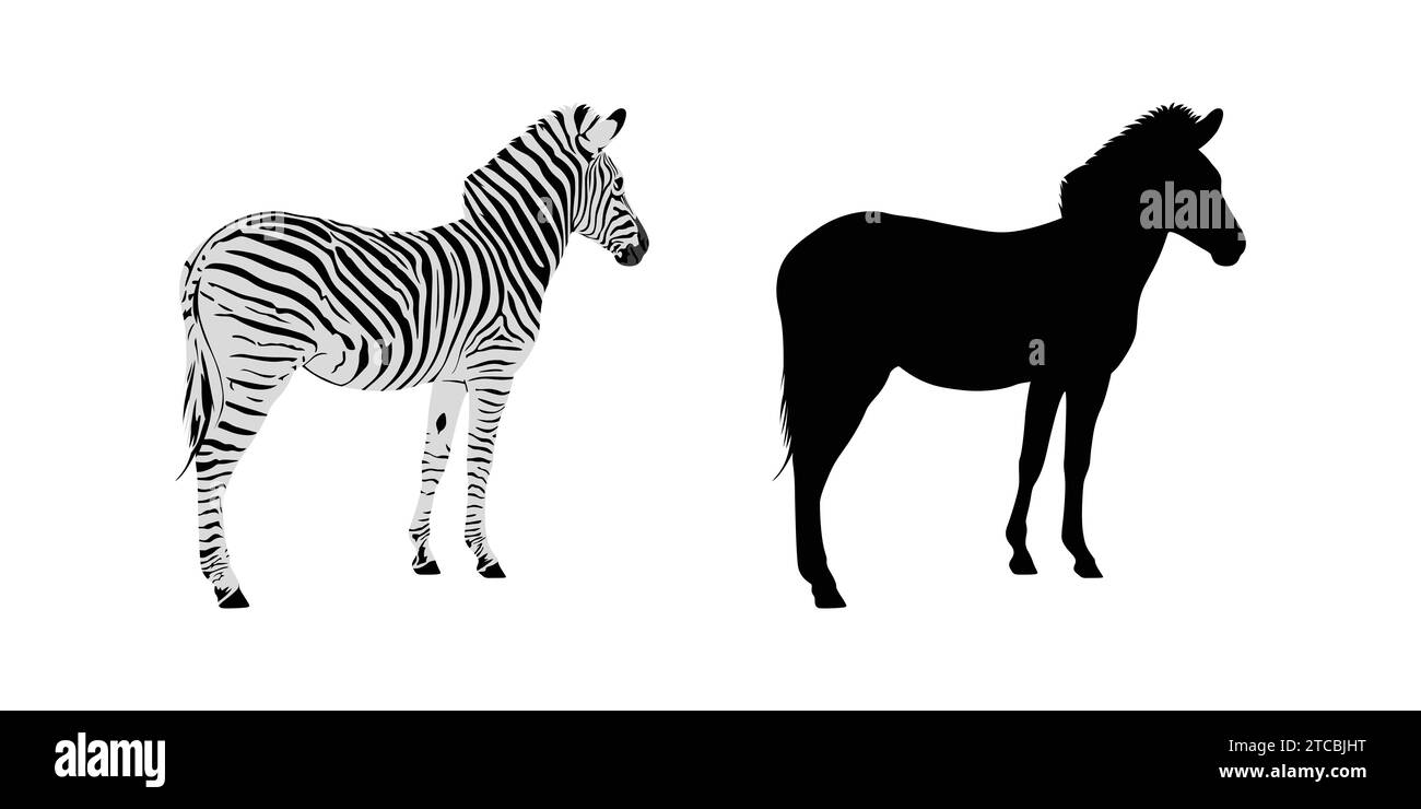 Hand drawn zebra silhouette design Stock Vector