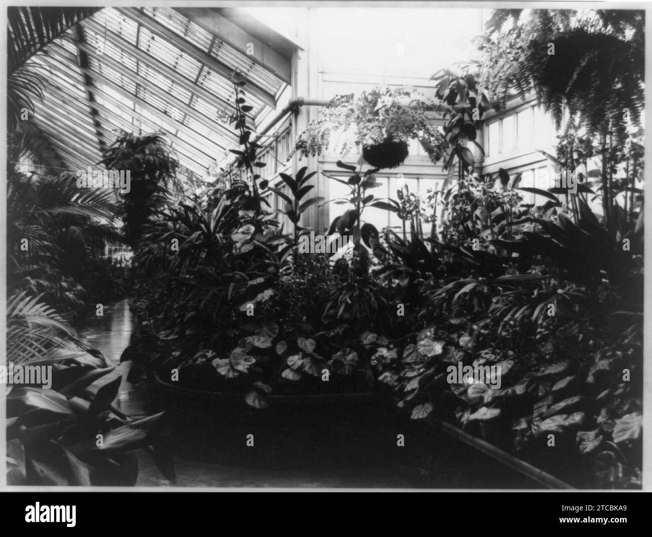 White house conservatory hi-res stock photography and images - Alamy