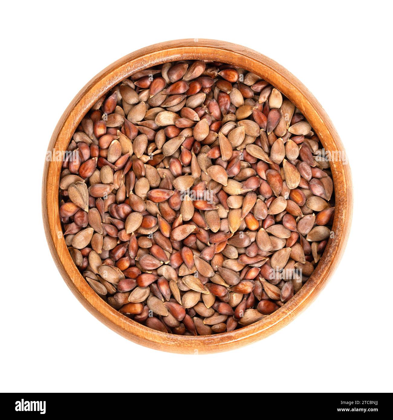 Dried apple seeds in a wooden bowl. Brown seeds of apples from the genus Malus. Should not be eaten because of containing amygdalin and cyanide. Stock Photo