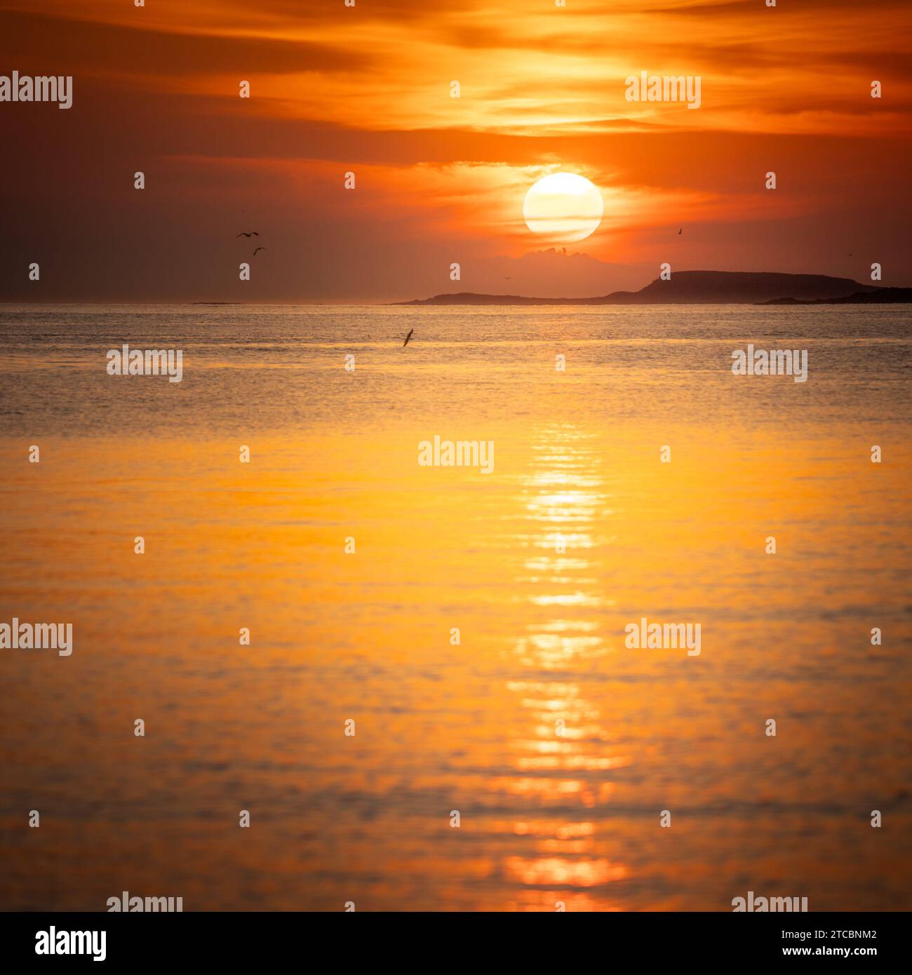 A stunning view of a serene sunset over the sea, illuminated by the golden glow in Lofoten, Norway Stock Photo