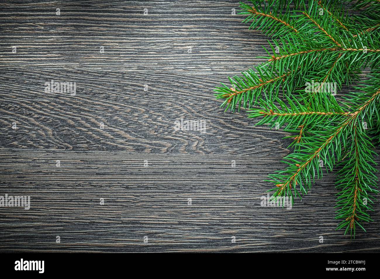 Branches fir tree decorated hi-res stock photography and images - Alamy