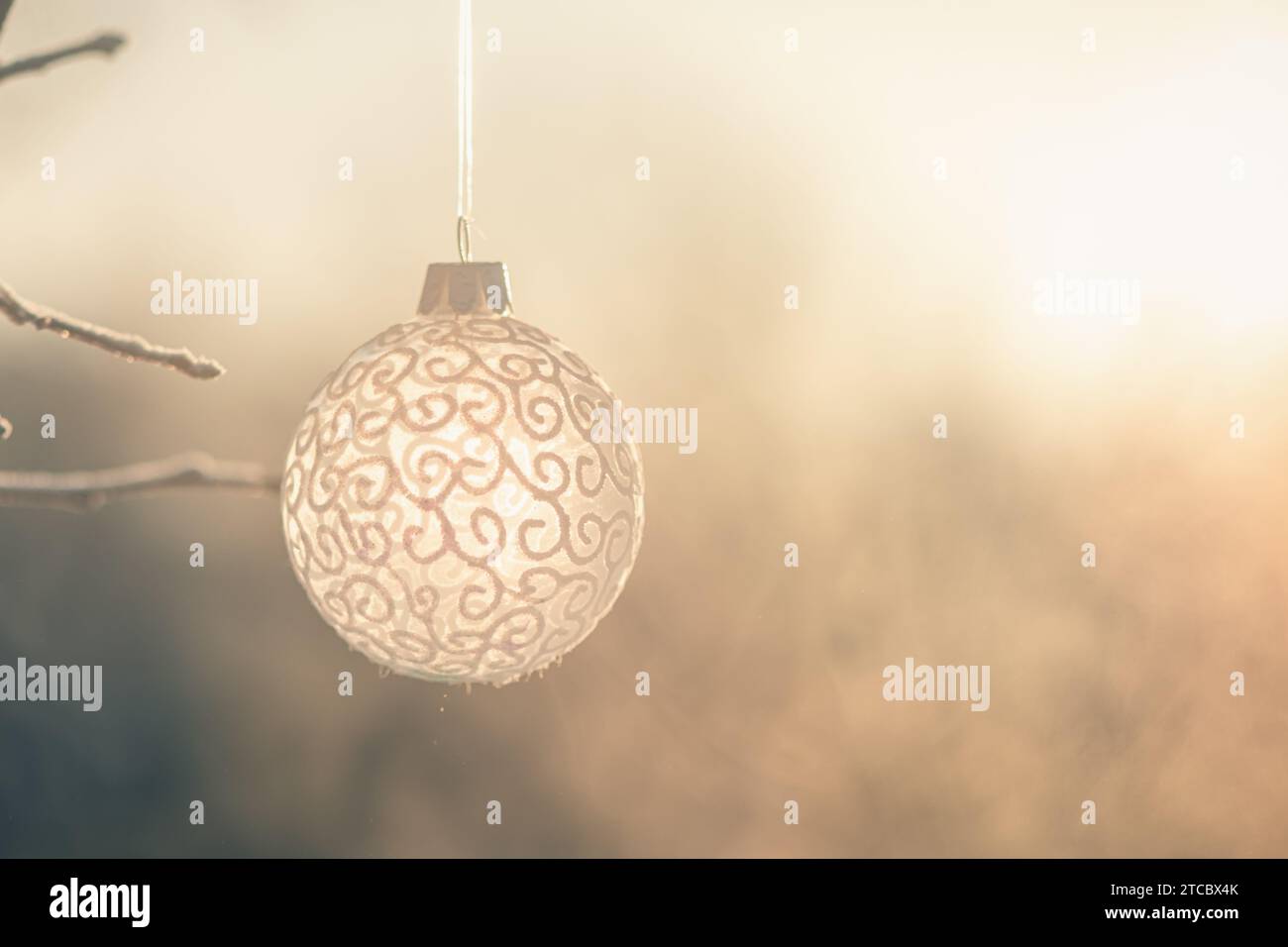 Christmas ball on tree outdoors, creative photo, new year, christmas