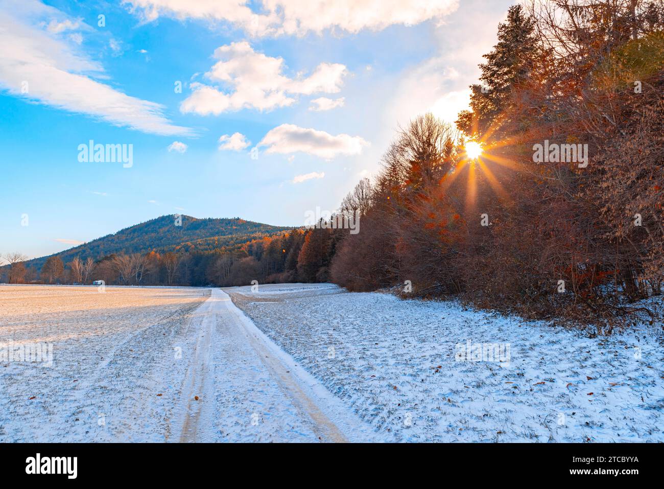 Snow-covered field path at the edge of the forest, sun, Ternitz, Lower Austria, Austria Stock Photo