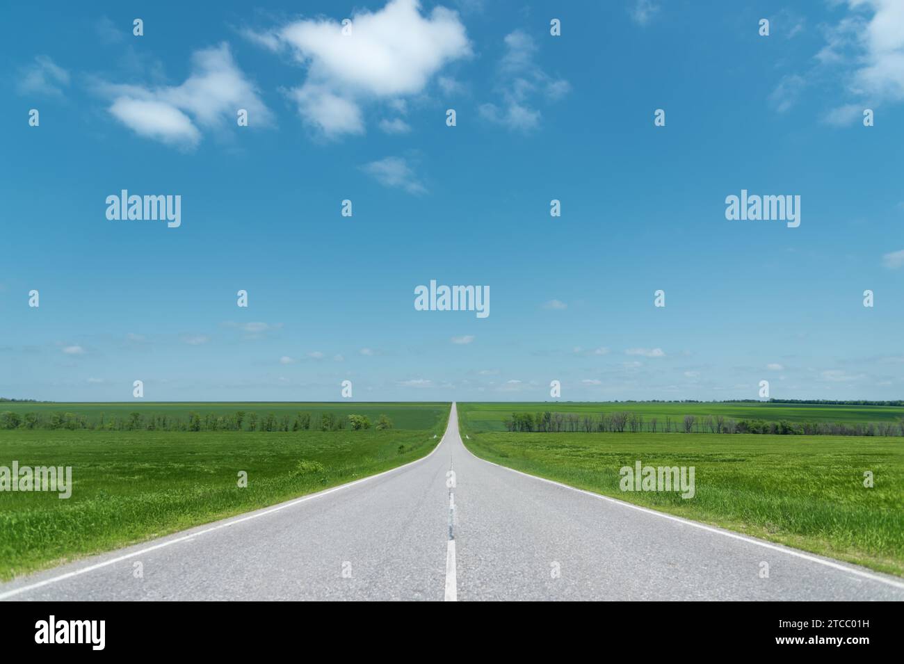 A wide asphalt road between green fields stretching into the blue sky ...