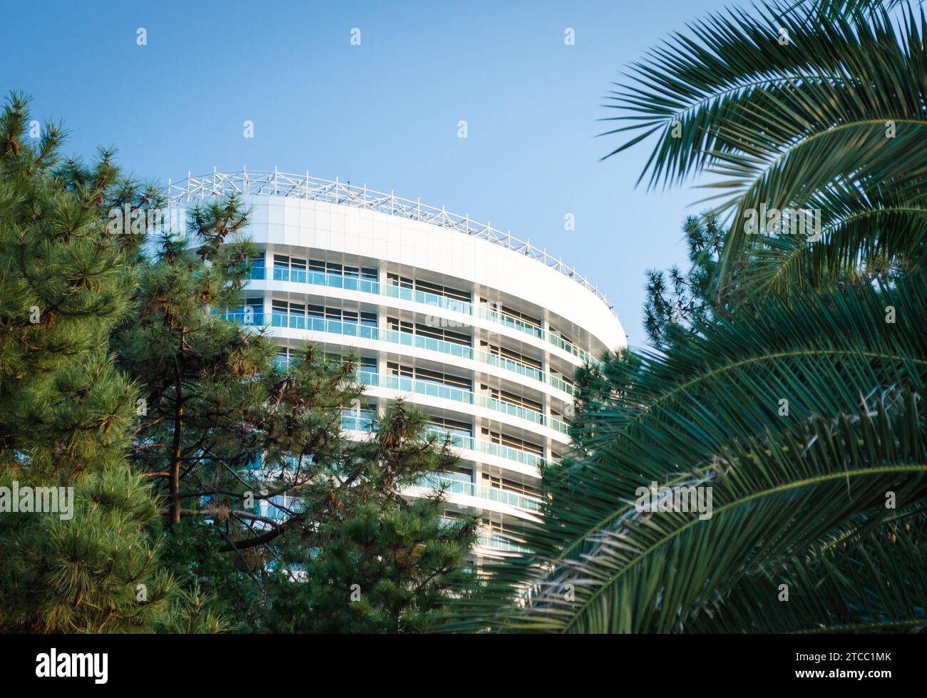 Background modern hotel building among green branches of palm trees and spruce in Georgia Batumi Stock Photo