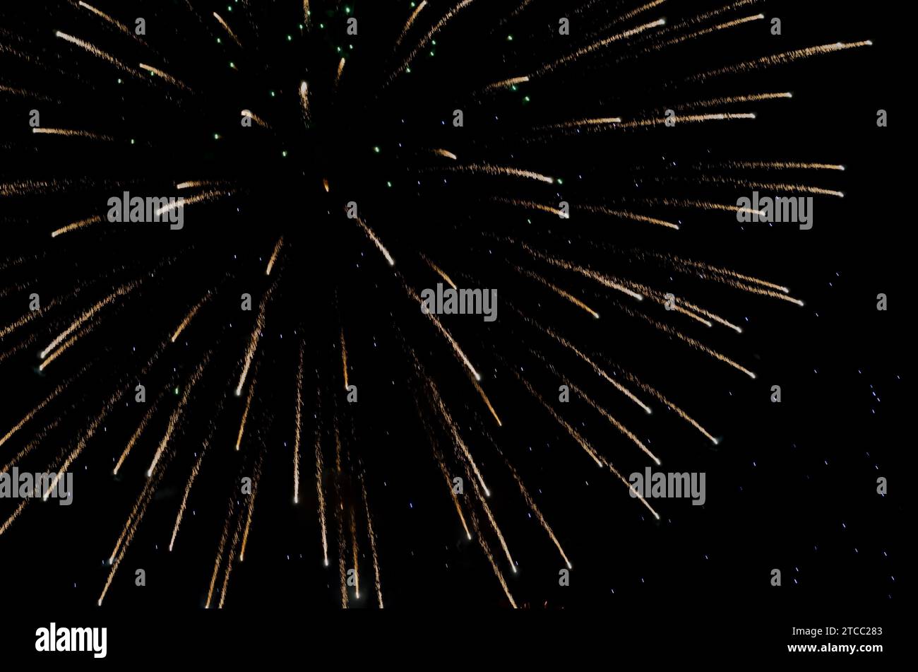 Holiday celebration flash of colorful fireworks in the black night sky Stock Photo