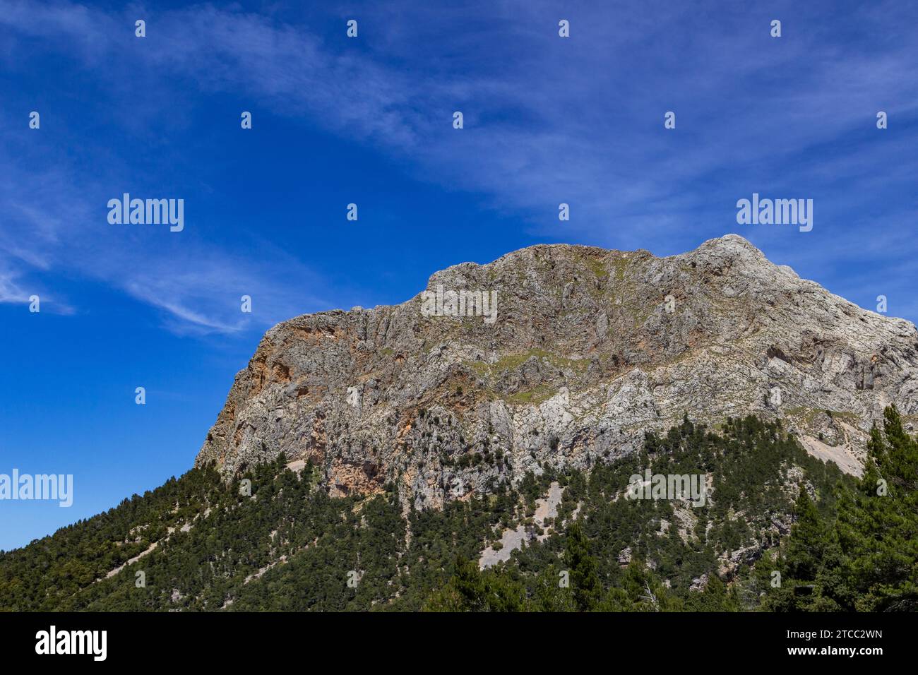 Scenic View at landscape between Gorg Blau and Soller on balearic island Mallorca, Spain Stock Photo
