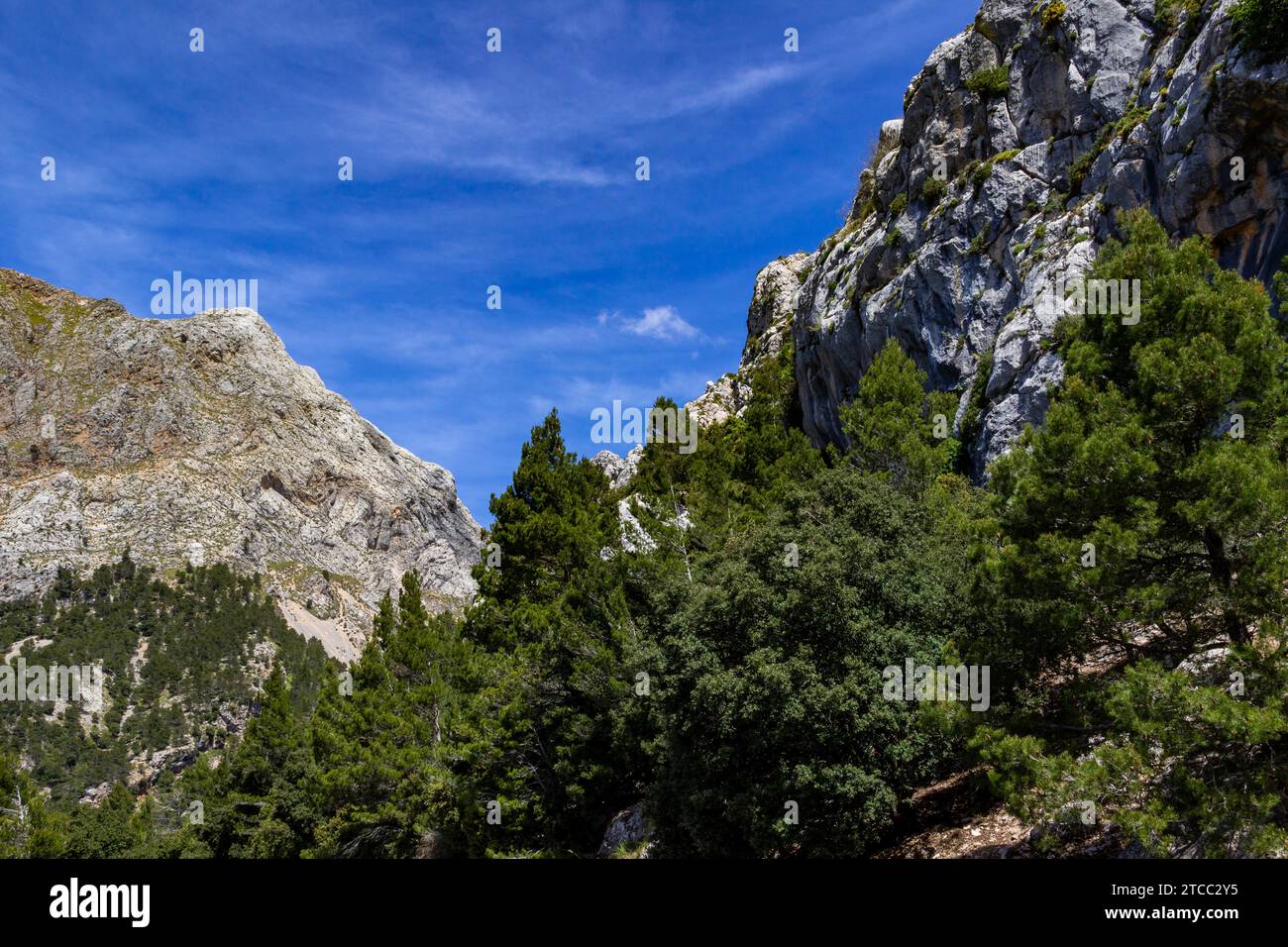 Scenic View at landscape between Gorg Blau and Soller on balearic island Mallorca, Spain Stock Photo
