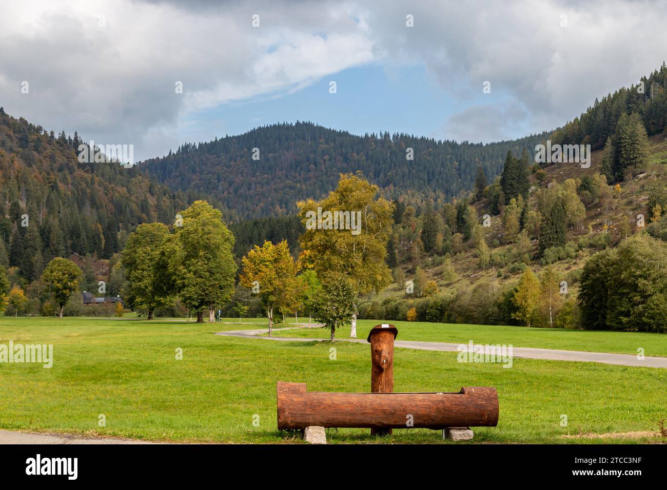 Landscape with wooden drinking fountain, green meadow, multi colored