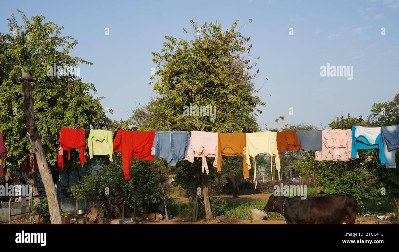 After being washed, Colorful clothing dries on a clothesline in the yard outside in the sunlight. Clothesline with freshly washed clothes outdoors in Stock Photo