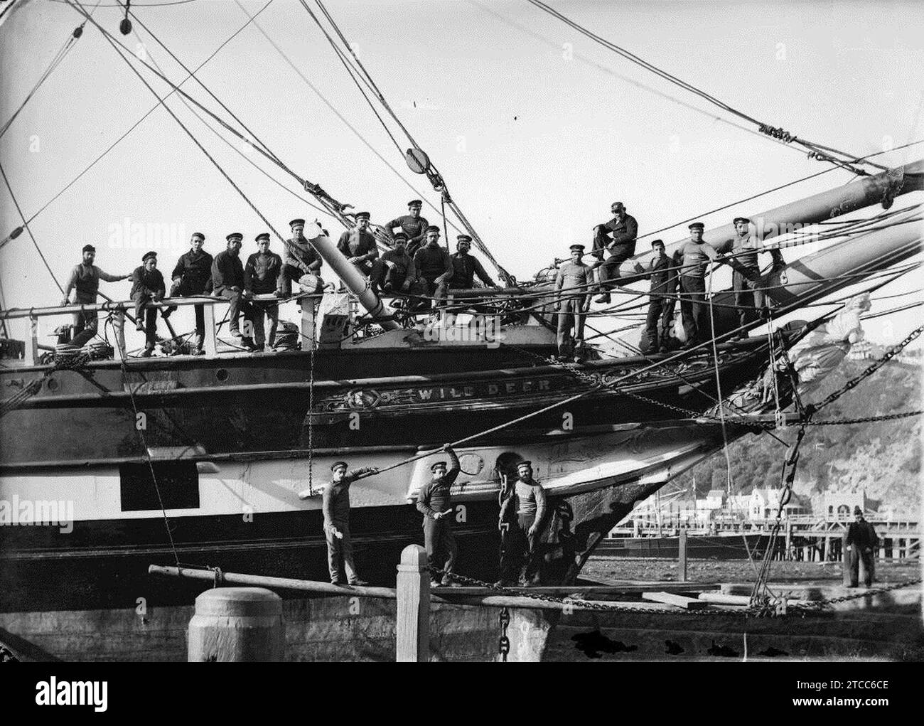 Wild Deer (ship, 1863) - natlib.nz 236425 Stock Photo - Alamy