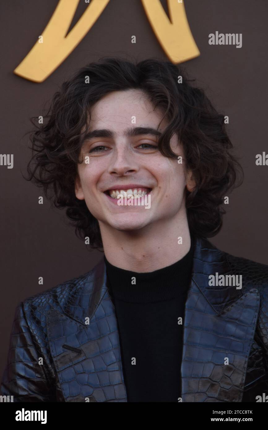 Los Angeles, California, USA 10th December 2023 Actor Timothee Chalamet ...