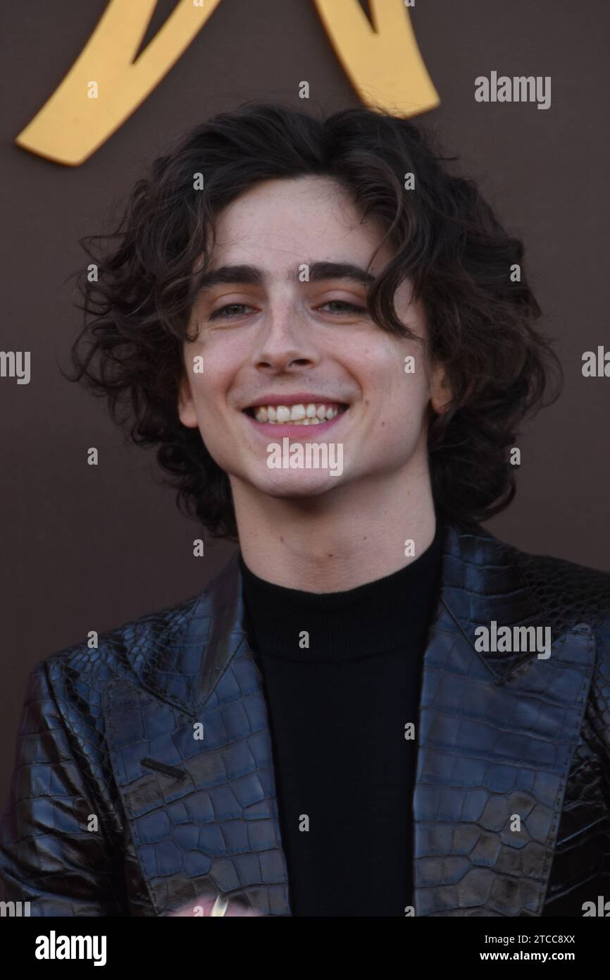 Los Angeles, California, USA 10th December 2023 Actor Timothee Chalamet ...