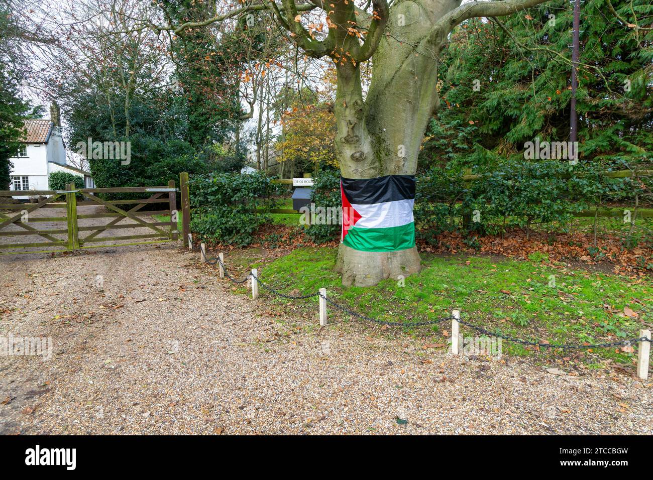 Support for Gaza Palestinians, Palestinian flag on tree outside private