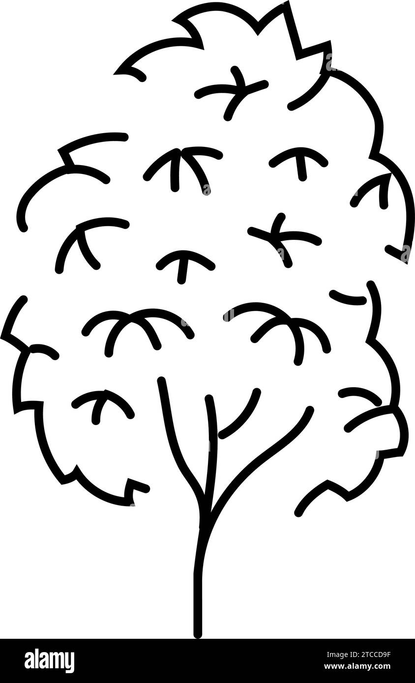 kauri tree jungle amazon line icon vector illustration Stock Vector Image & Art Alamy