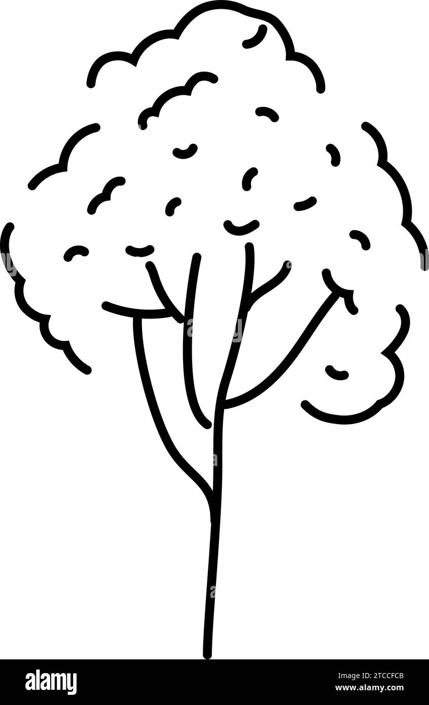 rubber tree jungle amazon line icon vector illustration Stock Vector