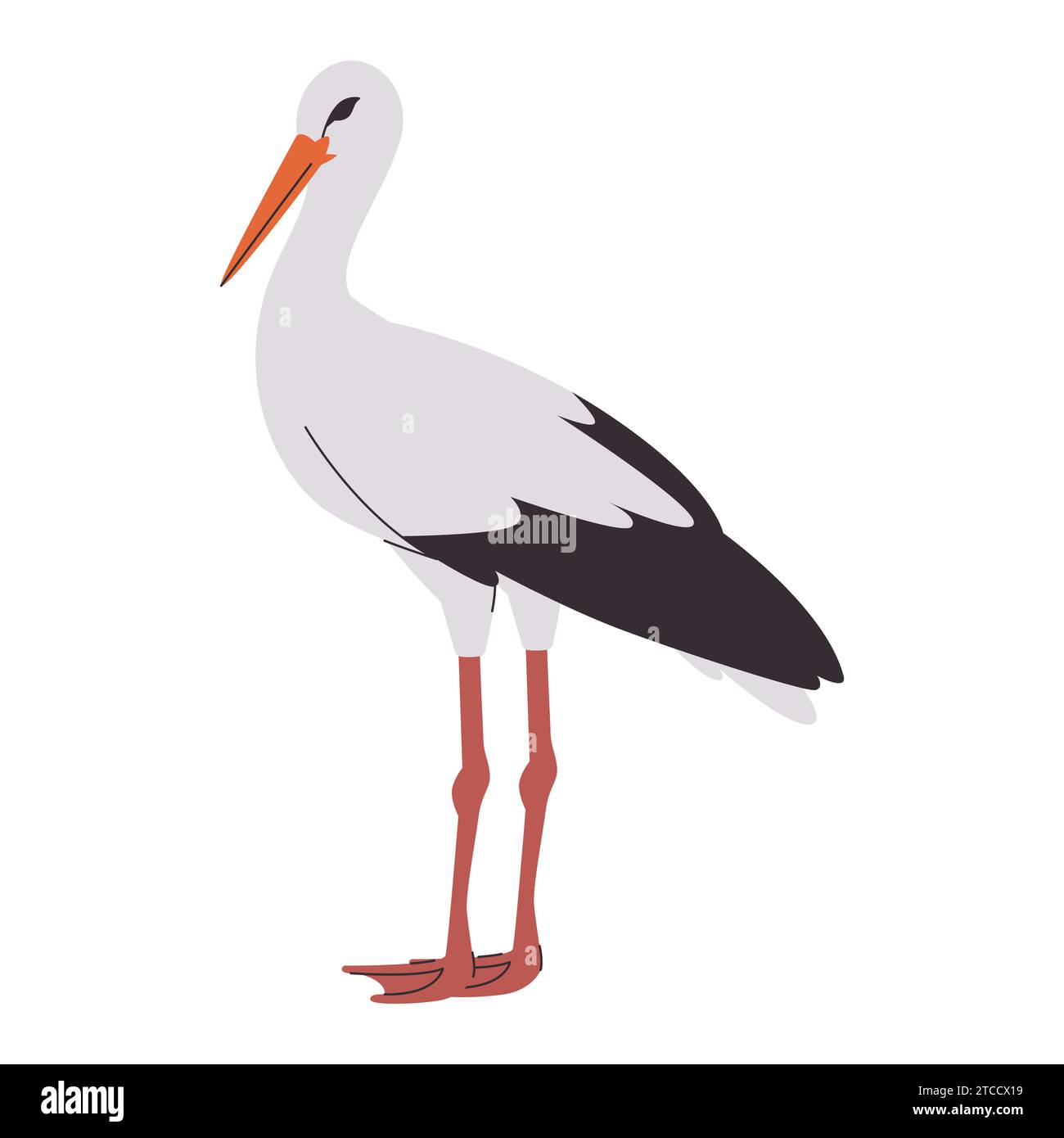 white and black color stork wild nature animal have beak and long leg with beautiful leather Stock Vector
