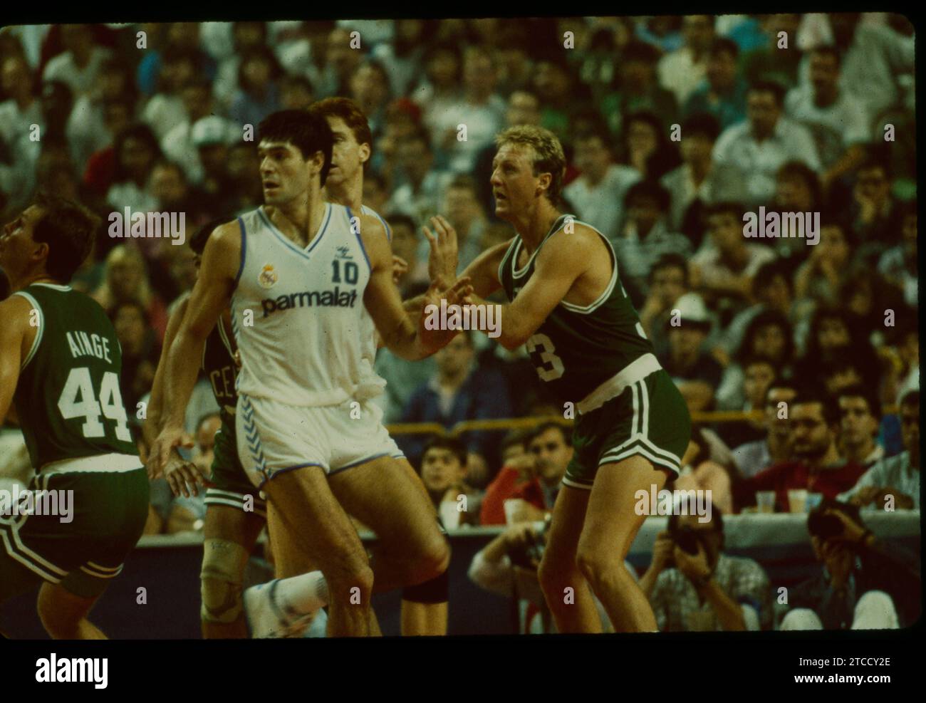 Madrid, 10/24/1988. Sport's palace. Open McDonalds basketball. Match between Real Madrid and the Boston Celtics that ended with the result of 111 to 96, with a North American victory. Credit: Album / Archivo ABC / Miguel Berrocal Stock Photo