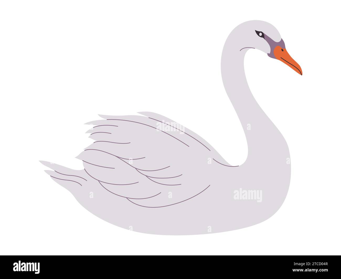 white color mute swan bird wild nature animal have beak and long neck with beautiful feather Stock Vector