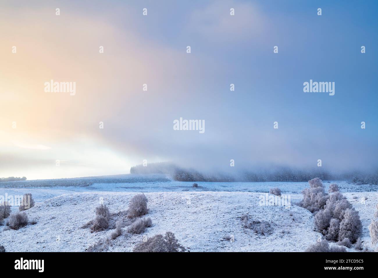 Clearing december fog over a snowy hillside just after sunrise. Morayshire, Scotland Stock Photo