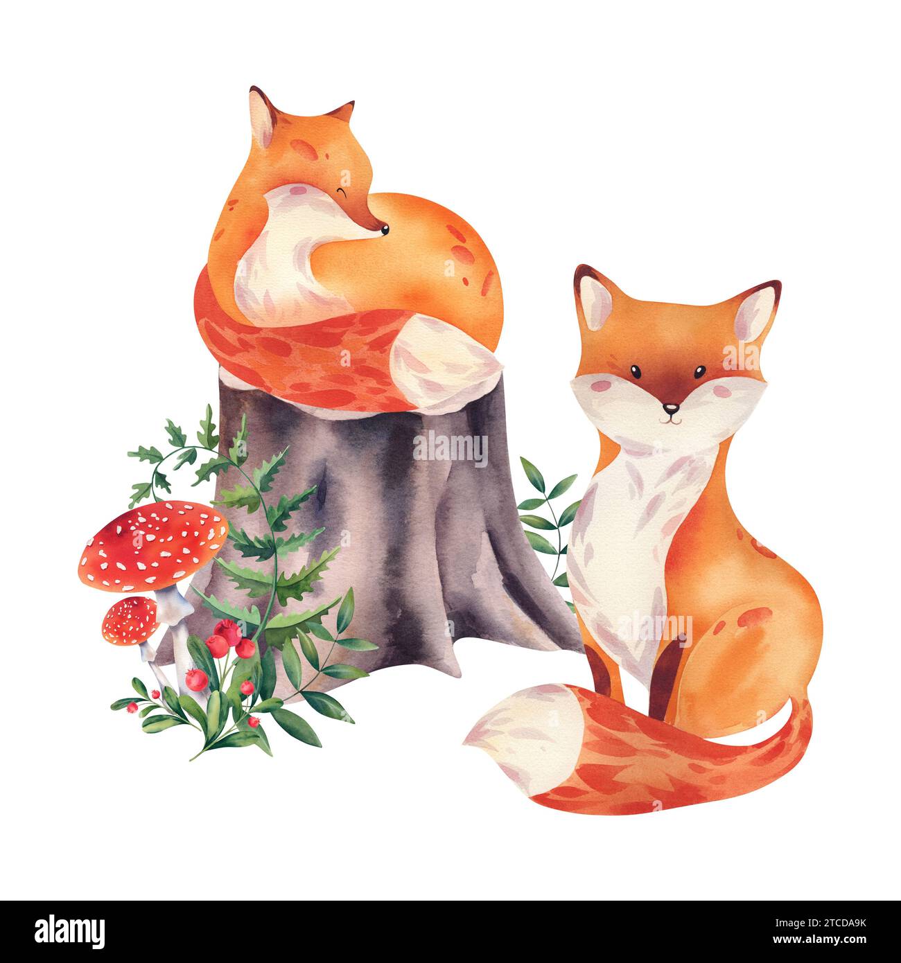 A fox on a stump in the forest with mushrooms, fly agarics, porcini