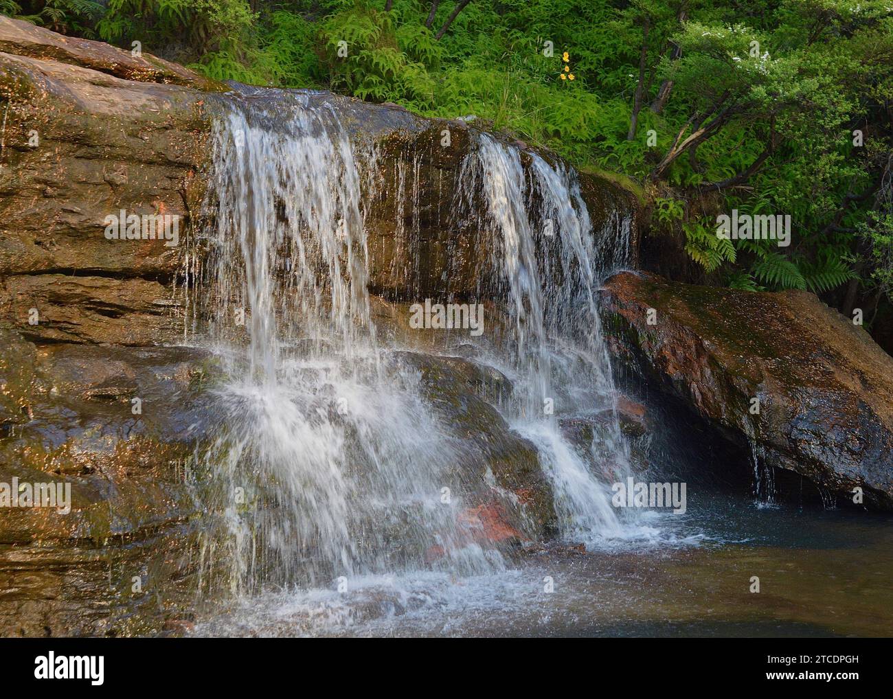 Pool blue mountains nsw hi-res stock photography and images - Alamy