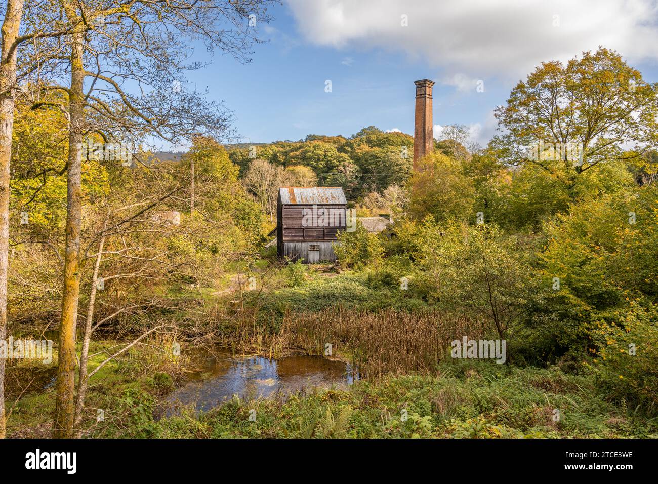 English Heritage Stott Park Bobbin Mill in Funsthwaite, Lake District, Cumbria inits woodland setting Stock Photo