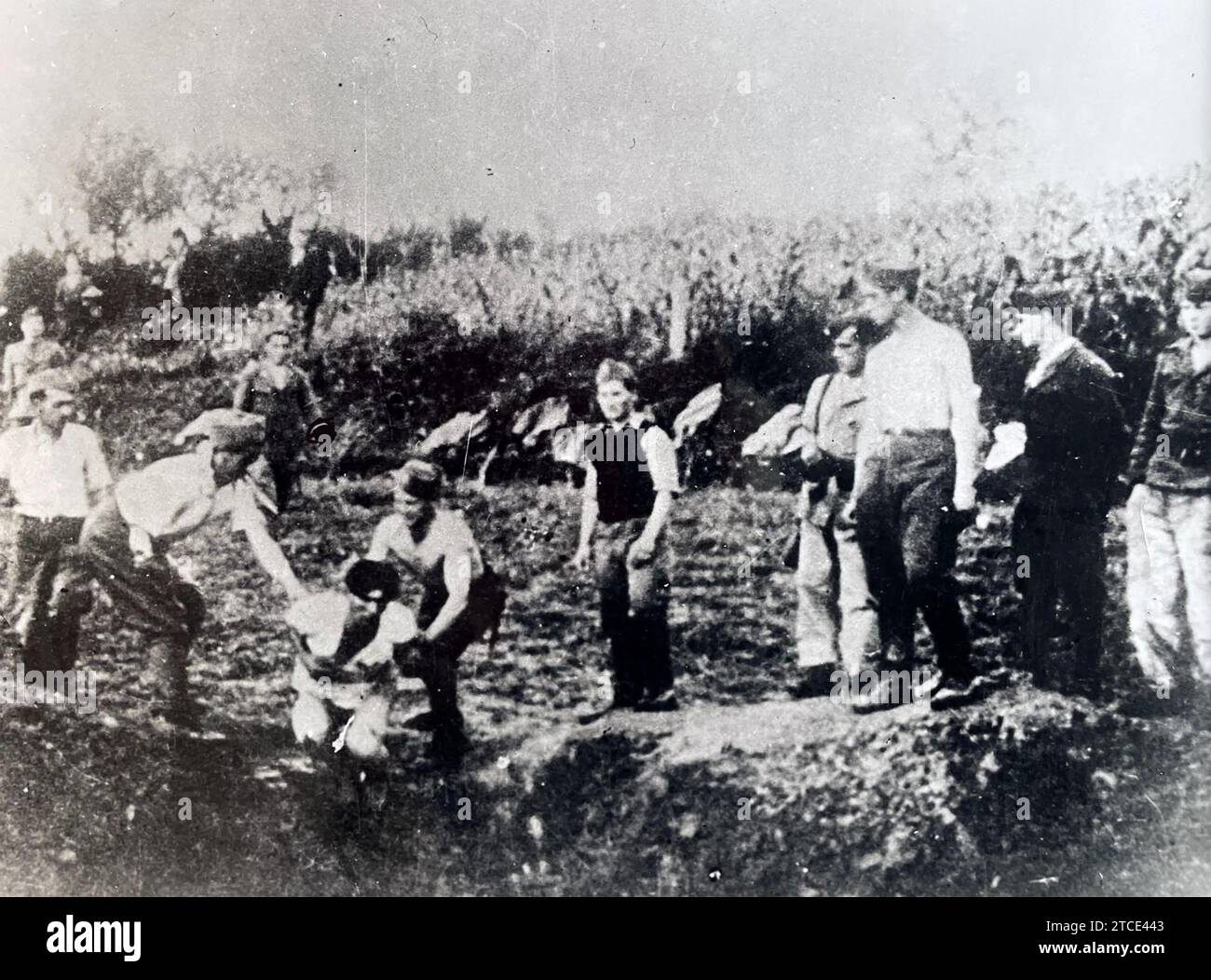 YUGOSLAV PARTISANS Interrogate a suspected collaborator  about 1943 Stock Photo